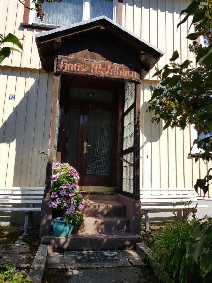 Haus Waldblick Hotel Hohegeiß Exterior foto